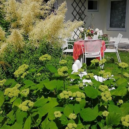 Secret Garden House In The Center Of Sigulda Villa Exterior foto