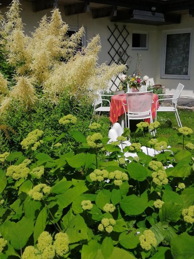 Secret Garden House In The Center Of Sigulda Villa Exterior foto