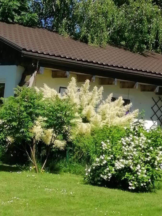 Secret Garden House In The Center Of Sigulda Villa Exterior foto